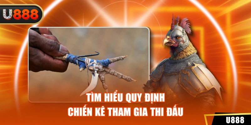 Đá Gà Cựa Dao U888 - Hiểu Rõ Luật Chơi Để Tăng Cơ Hội Thắng 3 Tìm hiểu quy định chiến kê tham gia thi đấu