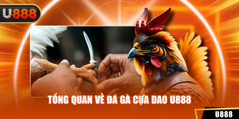 Đá Gà Cựa Dao U888 - Hiểu Rõ Luật Chơi Để Tăng Cơ Hội Thắng 2 Tổng quan về đá gà cựa dao u888